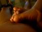 Foot Fetish Photo