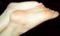 Free Foot Fetish Photo