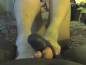 Foot Fetish Photo