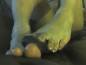 Foot Fetish Photo