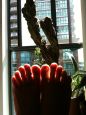 Foot Fetish Photo