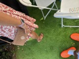 Foot Fetish Photo