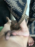 Foot Fetish Photo