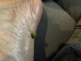 Foot Fetish Photo
