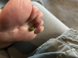 Foot Fetish Photo