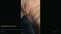 foot fetish video screen capture