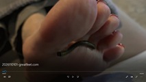 foot fetish video screen capture