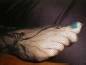 Free Foot Fetish Photo
