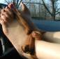 Free Foot Fetish Photo