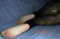 Foot Fetish Photo
