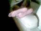 foot fetish photo