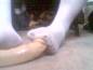 Foot Fetish Photo