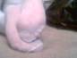 Foot Fetish Photo