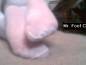 Foot Fetish Photo