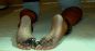 Foot Fetish Photo