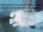 Foot Fetish Photo